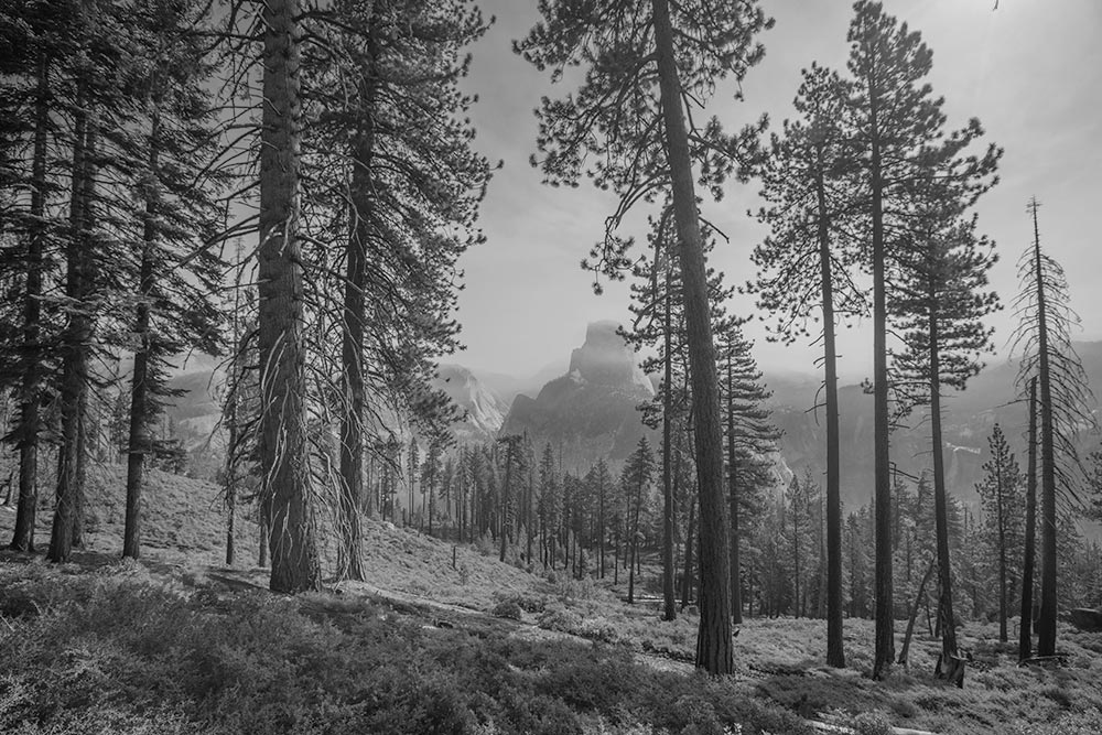 Yosemite along the Panorama Trail