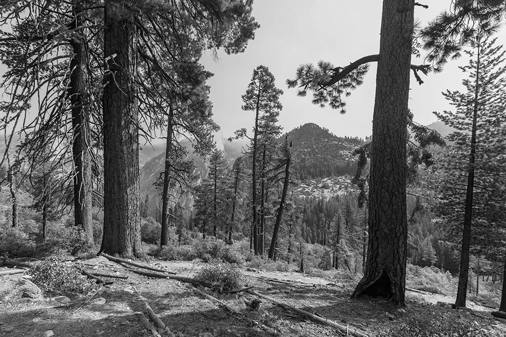 Yosemite along the Panorama Trail