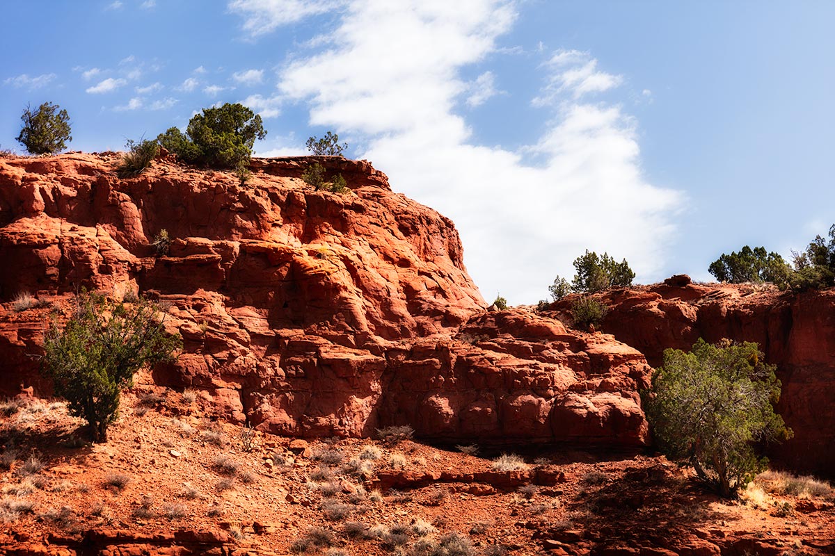 Red Rock Jemez, New Mexico, Photographed by Mark Steele Photography Inc