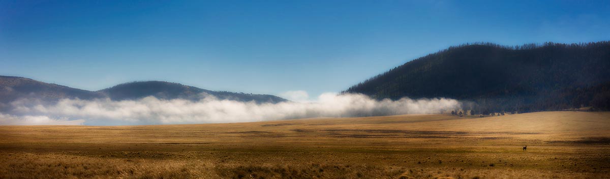 Valles Caldera National Preserve NM.  Photographed by Mark  A Steele Photography Inc
