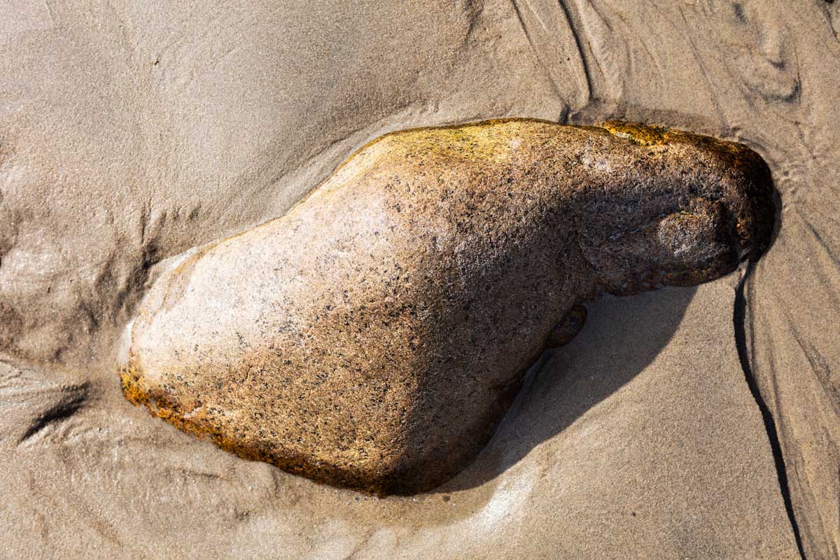 Found Beach Images by Mark A Steele Photography Inc